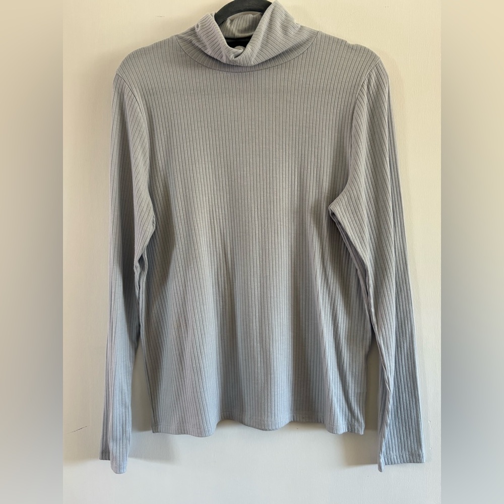 Madewell Light Blue Turtleneck Top